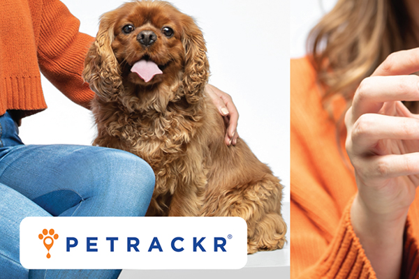 PetTrackr brand photography featuring a dog and its owner